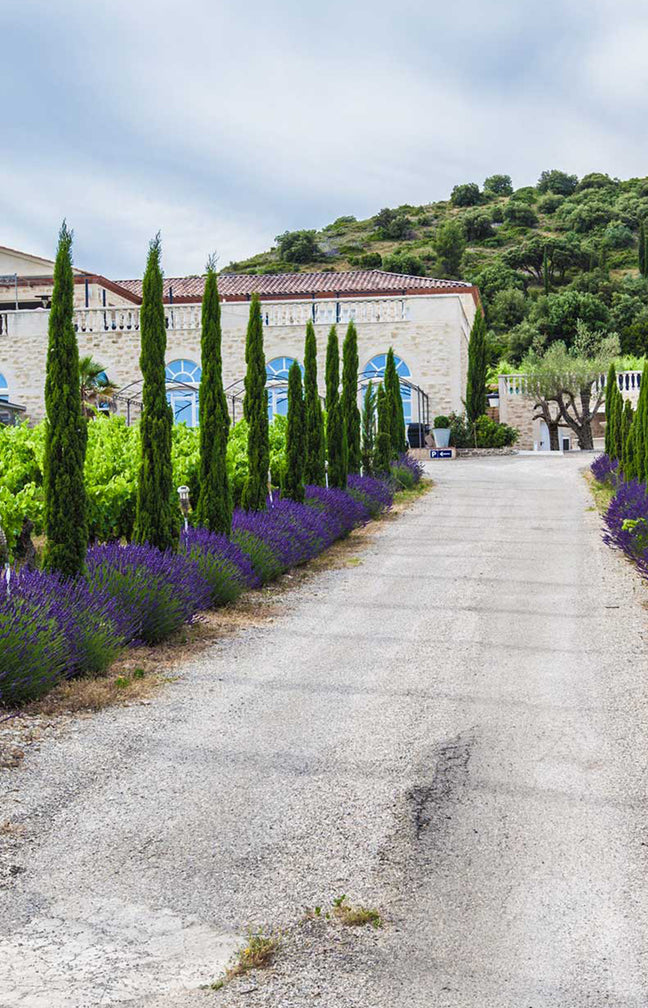 Séjour 1 nuit avec accès spa, visite de cave, dégustation de vin et tapas - Chambre Supérieure